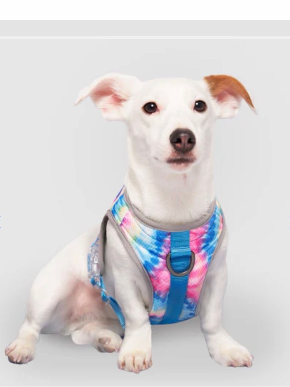 Tie-Dye Canada pooch cooling Harness 14